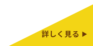 詳しく見る